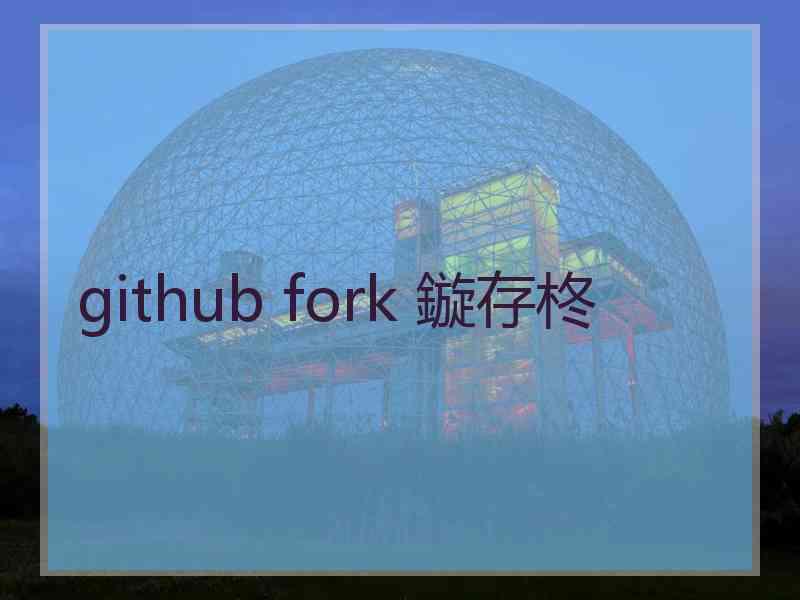 github fork 鏇存柊