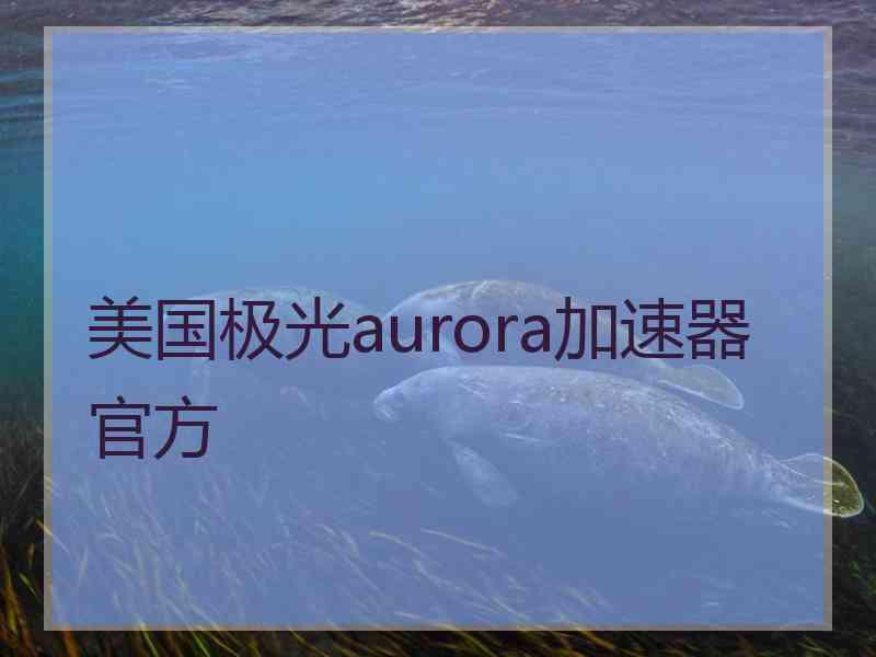 美国极光aurora加速器官方