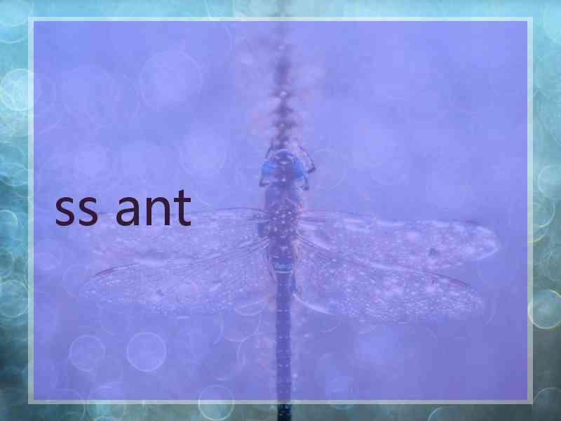 ss ant