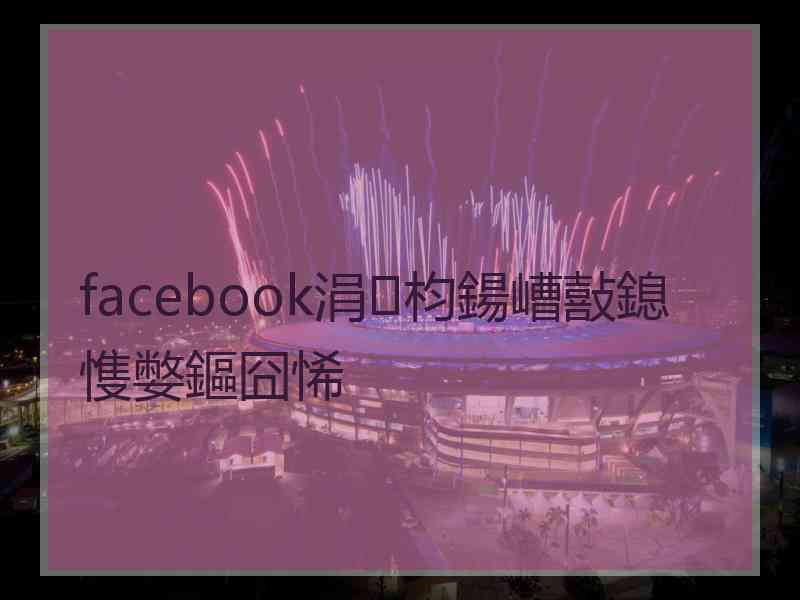 facebook涓枃鍚嶆敼鎴愯嫳鏂囧悕