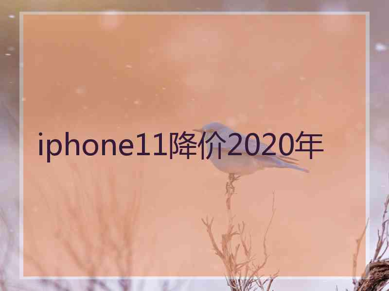 iphone11降价2020年