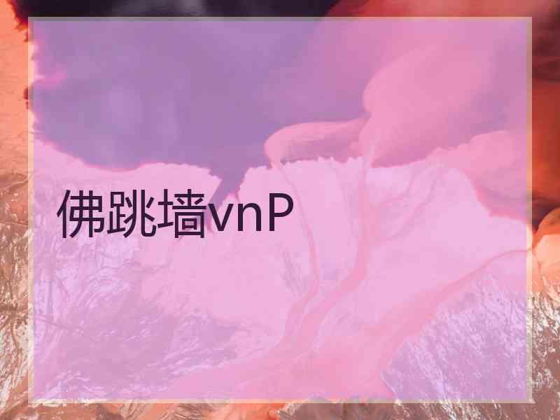 佛跳墙vnP