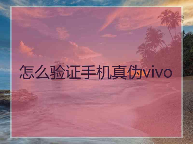 怎么验证手机真伪vivo