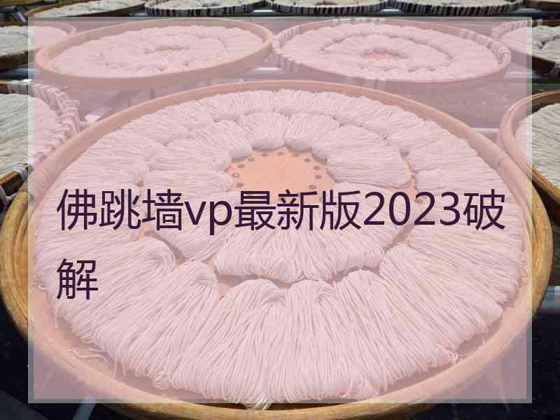 佛跳墙vp最新版2023破解