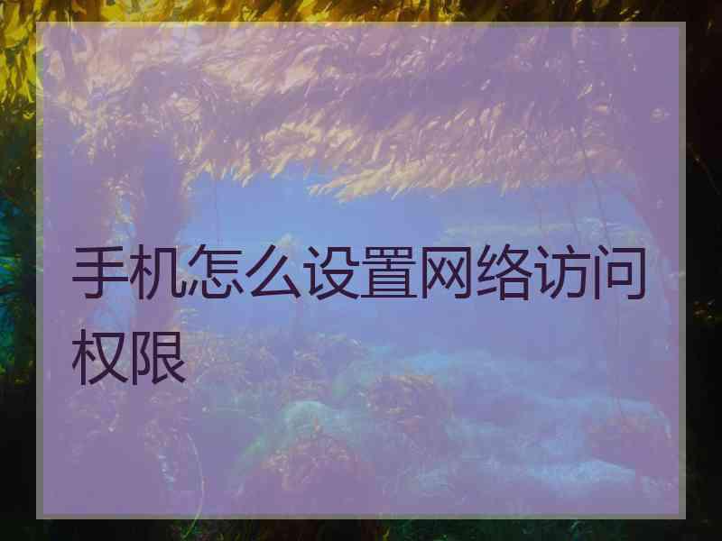 手机怎么设置网络访问权限