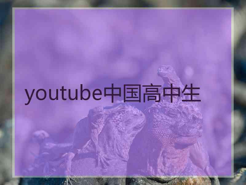 youtube中国高中生