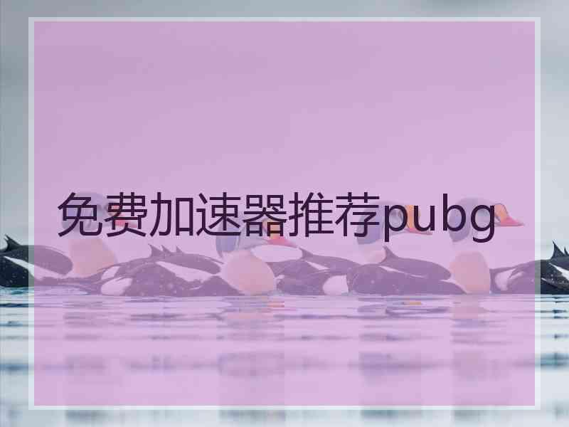 免费加速器推荐pubg