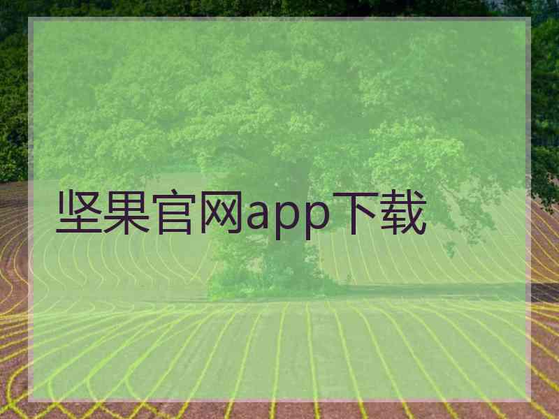 坚果官网app下载