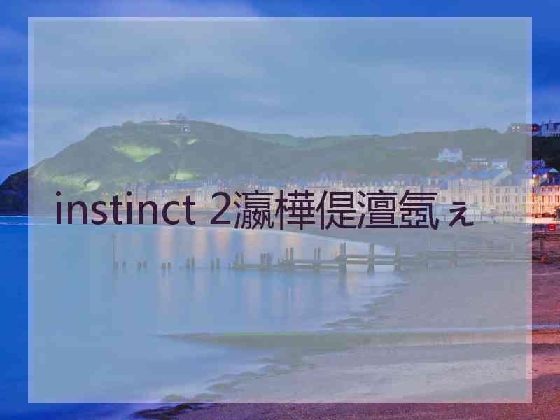 instinct 2瀛樺偍澶氬ぇ