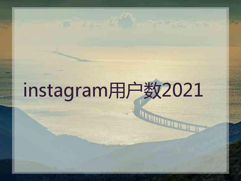 instagram用户数2021