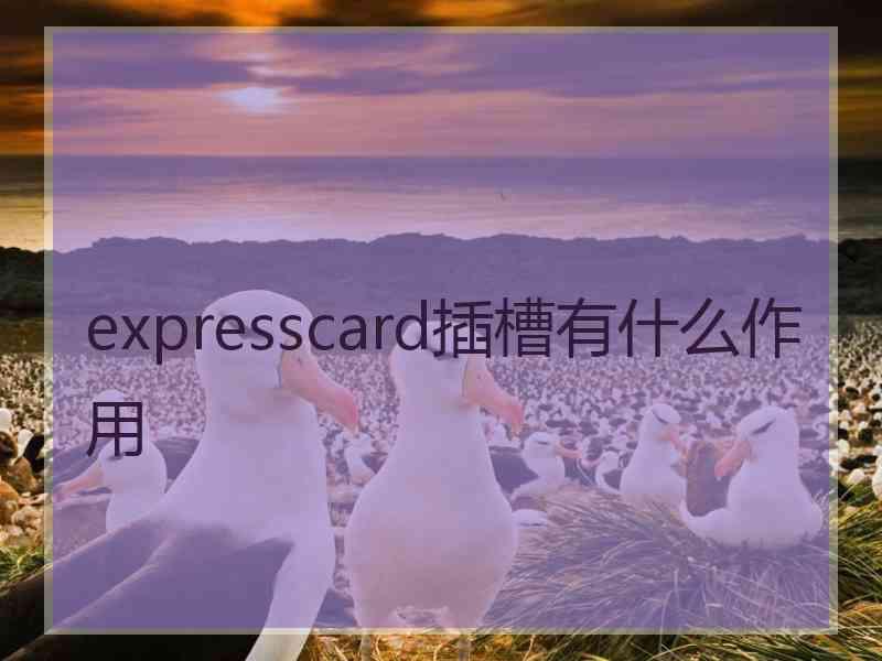 expresscard插槽有什么作用