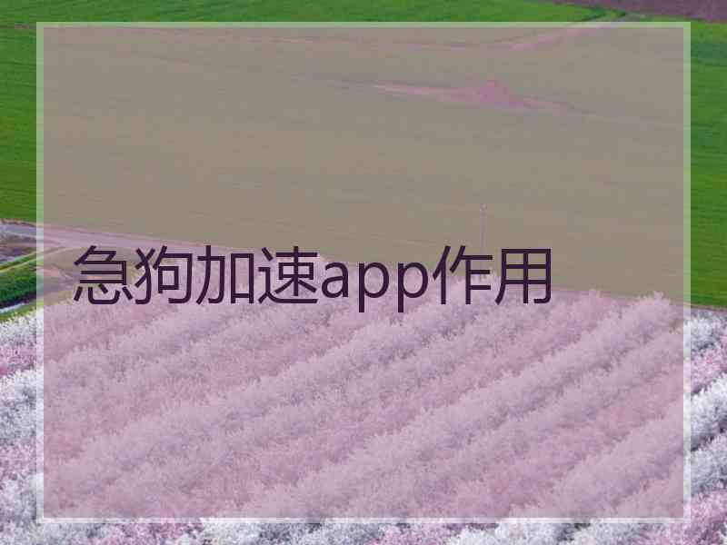 急狗加速app作用