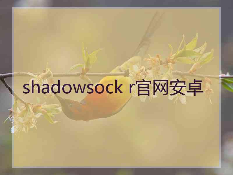 shadowsock r官网安卓