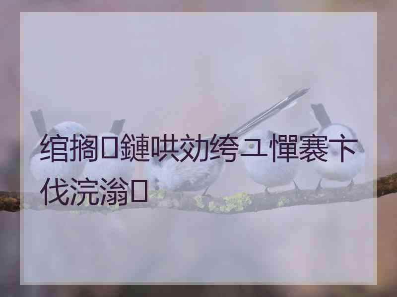 绾搁鏈哄効绔ユ憚褰卞伐浣滃