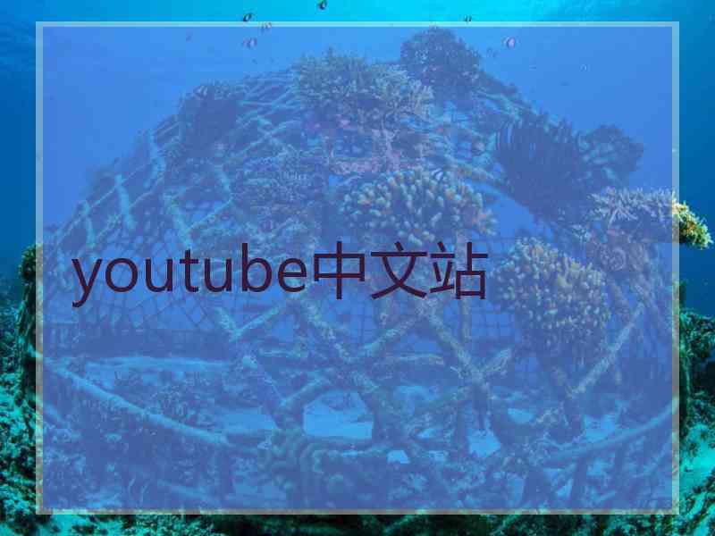 youtube中文站