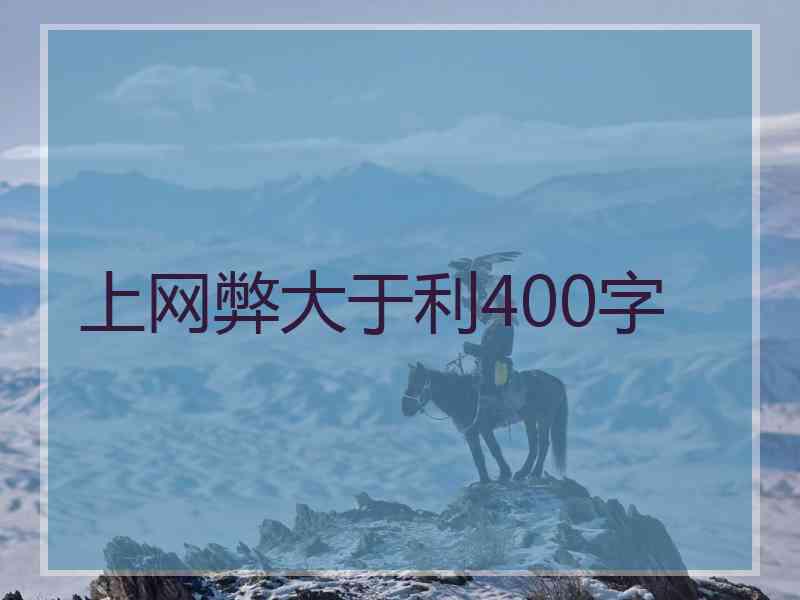 上网弊大于利400字