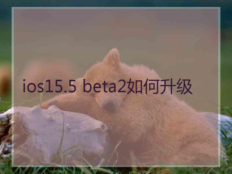 ios15.5 beta2如何升级