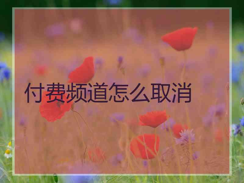 付费频道怎么取消