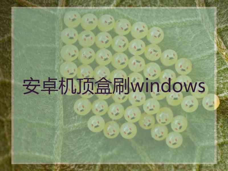 安卓机顶盒刷windows