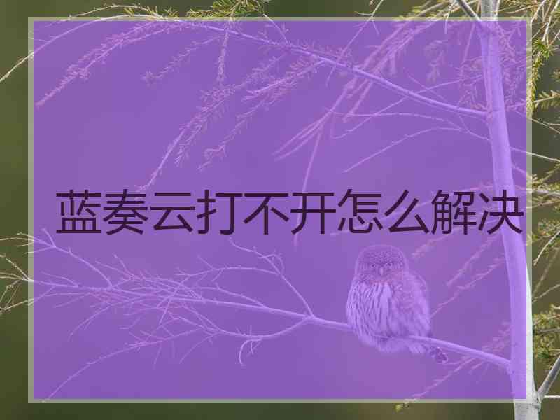 蓝奏云打不开怎么解决