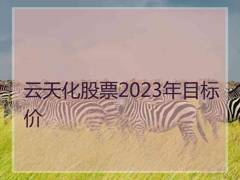 云天化股票2023年目标价