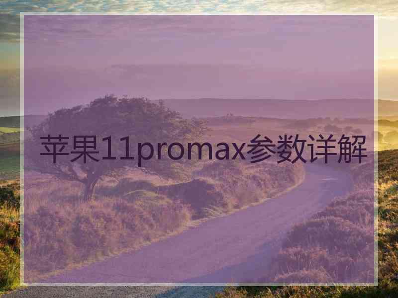 苹果11promax参数详解