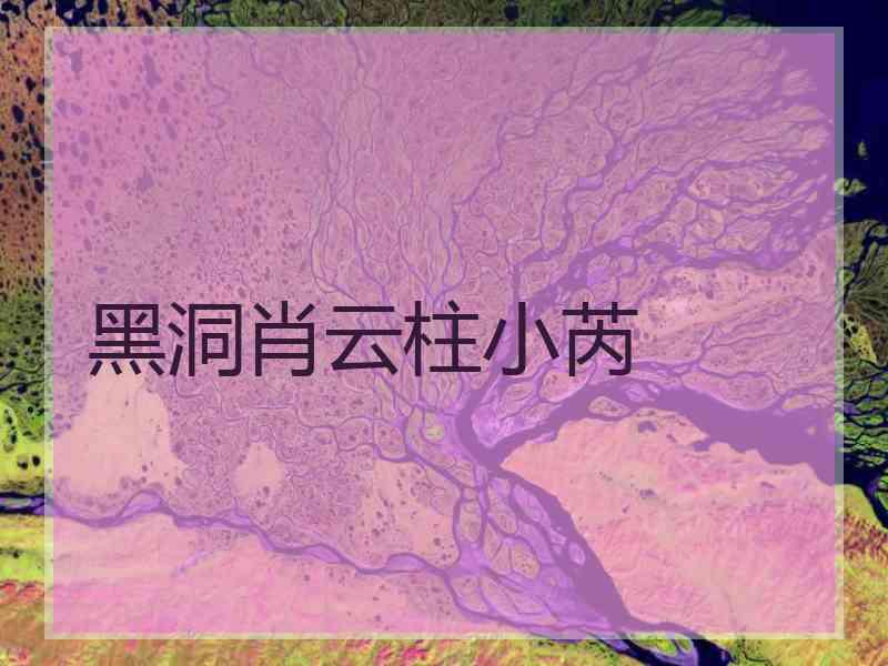 黑洞肖云柱小芮