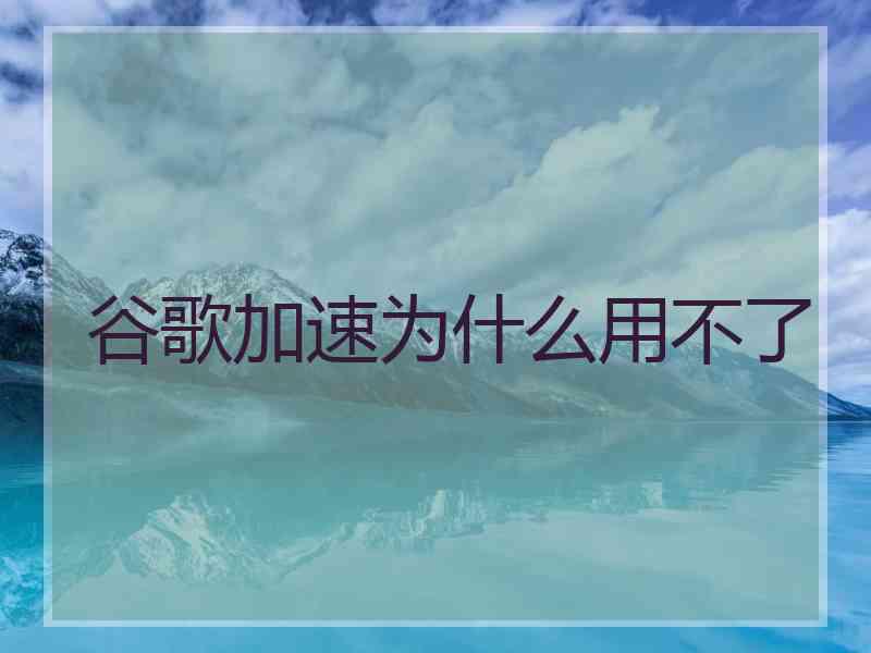 谷歌加速为什么用不了