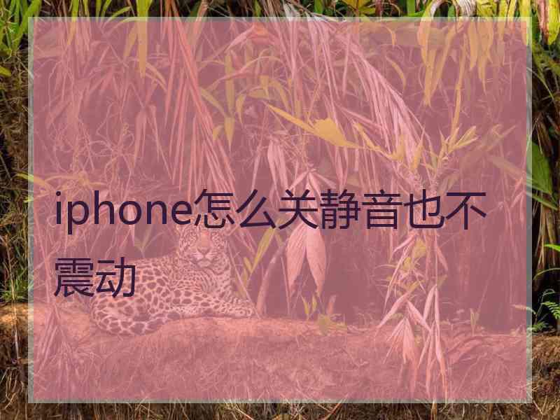 iphone怎么关静音也不震动