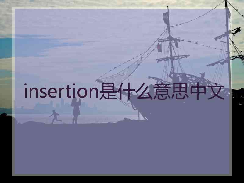 insertion是什么意思中文