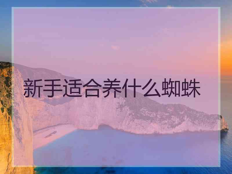 新手适合养什么蜘蛛