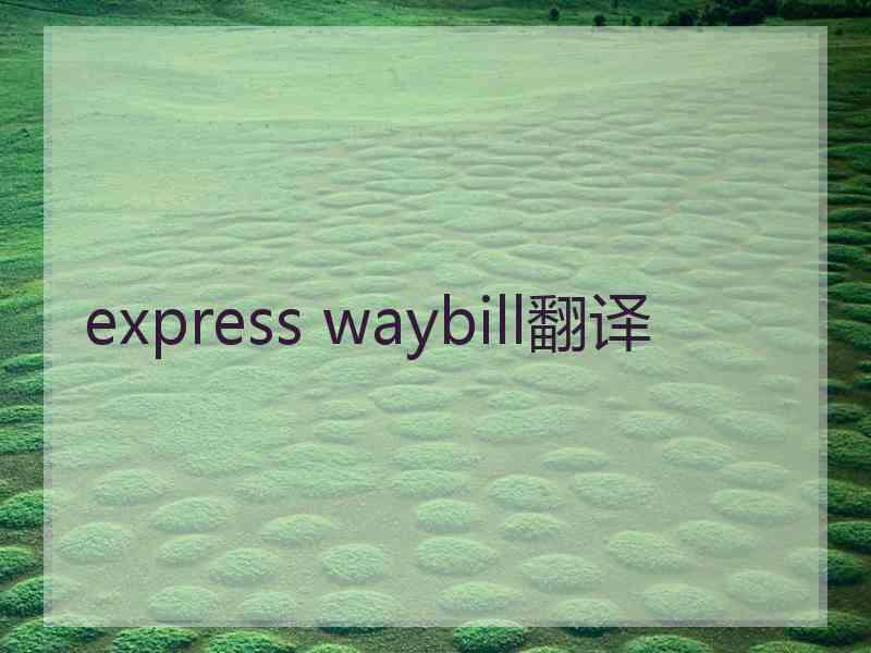 express waybill翻译