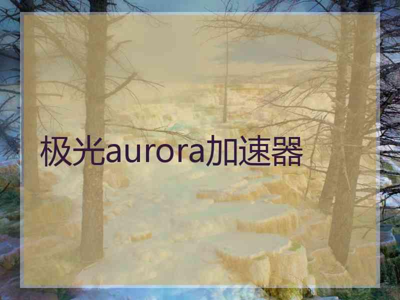 极光aurora加速器