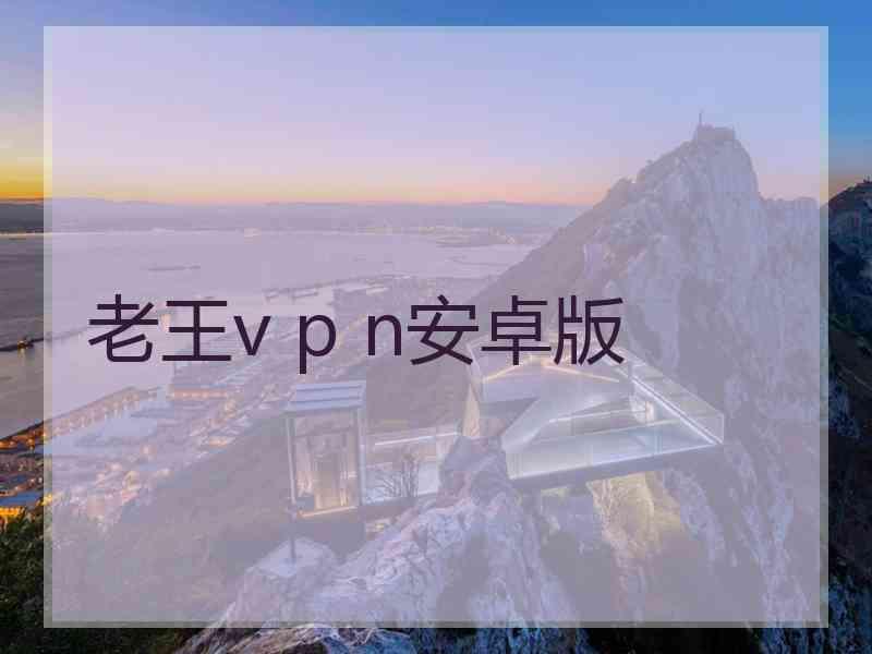 老王v p n安卓版