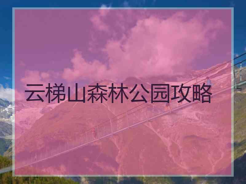 云梯山森林公园攻略