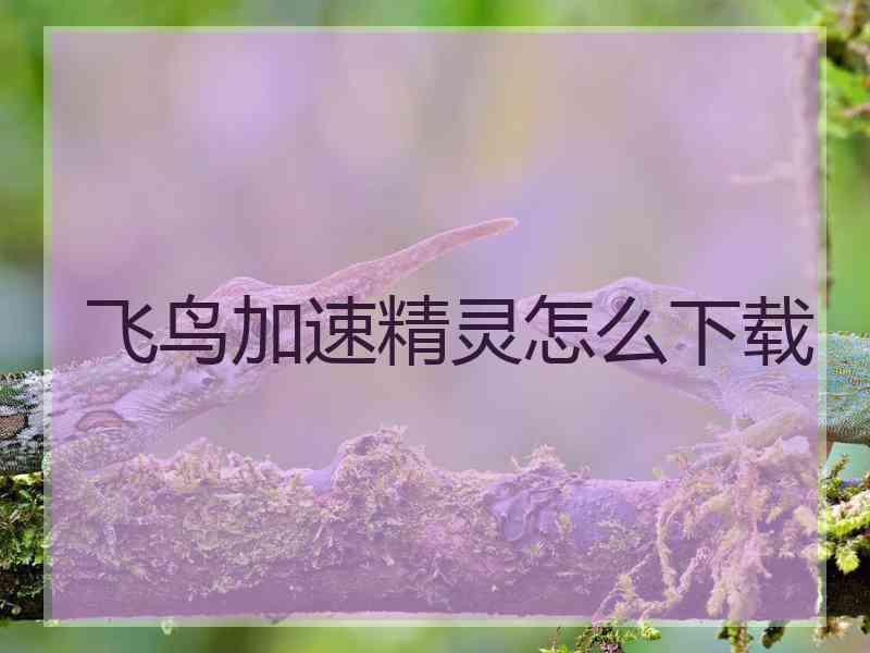 飞鸟加速精灵怎么下载