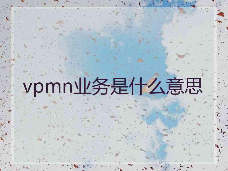 vpmn业务是什么意思