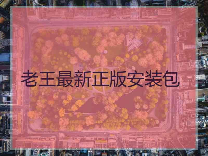 老王最新正版安装包