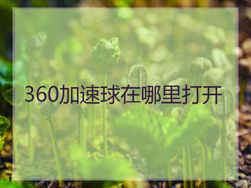 360加速球在哪里打开