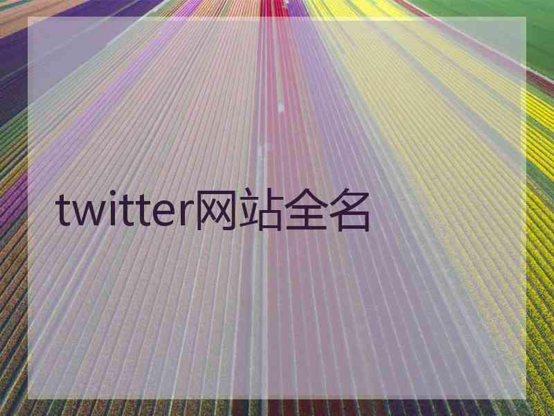 twitter网站全名