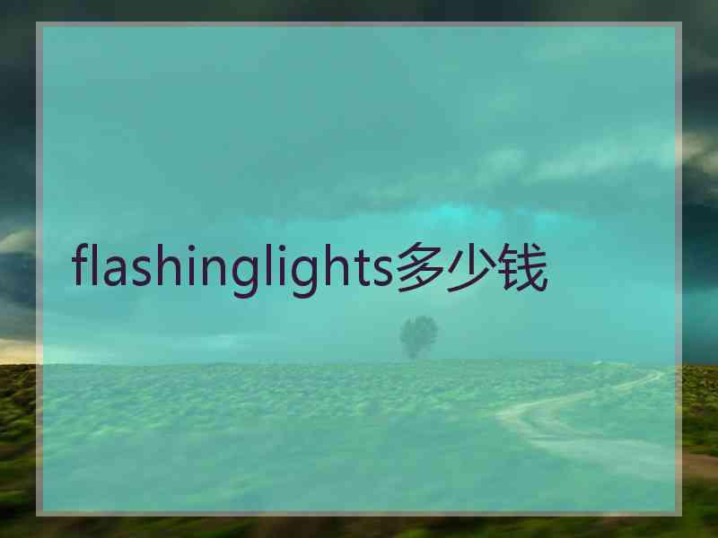 flashinglights多少钱