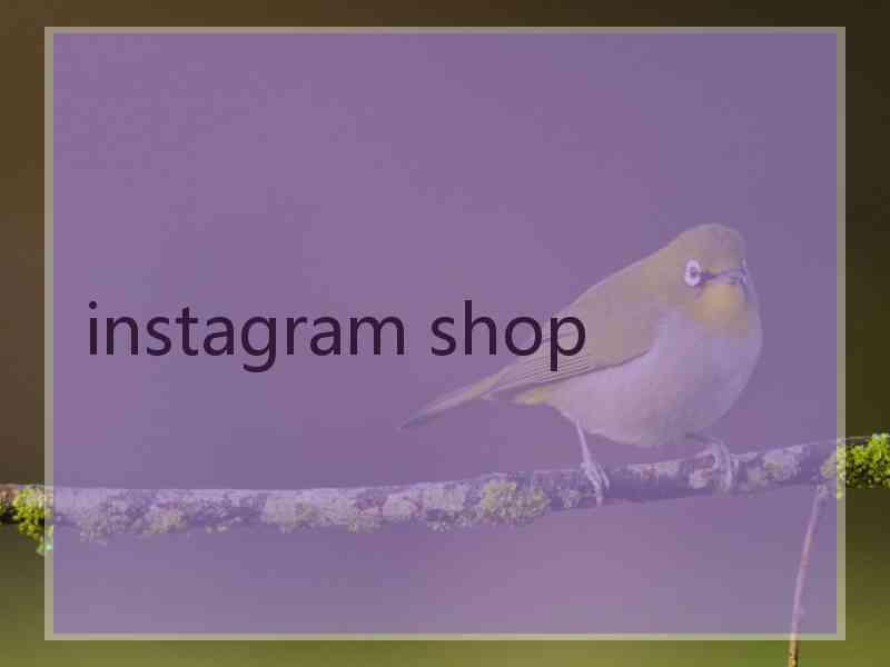 instagram shop