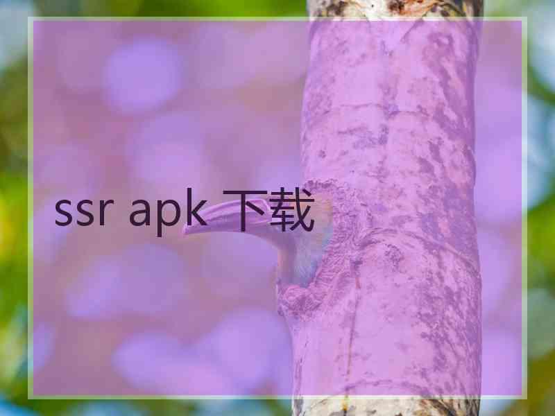 ssr apk 下载