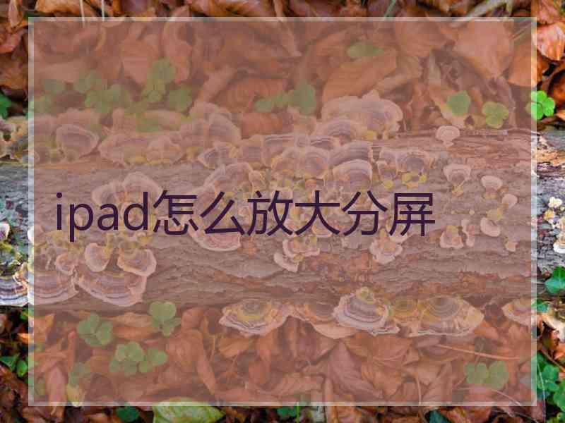 ipad怎么放大分屏