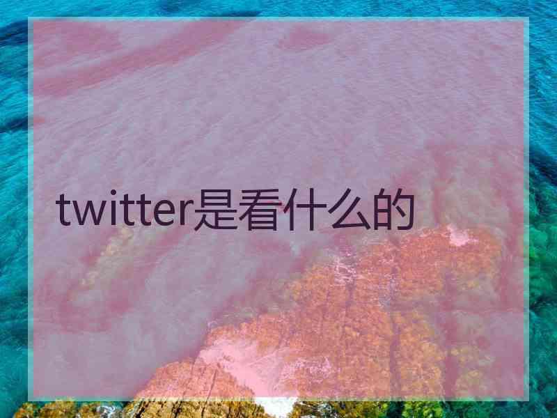 twitter是看什么的