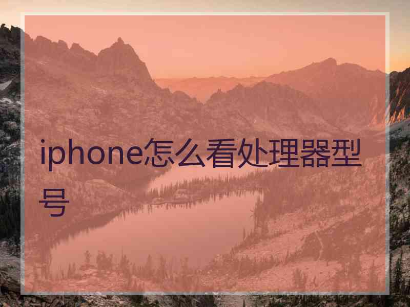 iphone怎么看处理器型号