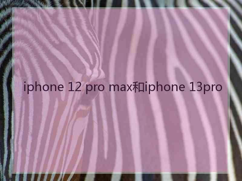 iphone 12 pro max和iphone 13pro