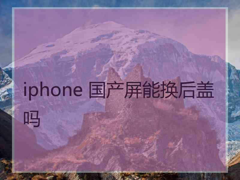 iphone 国产屏能换后盖吗