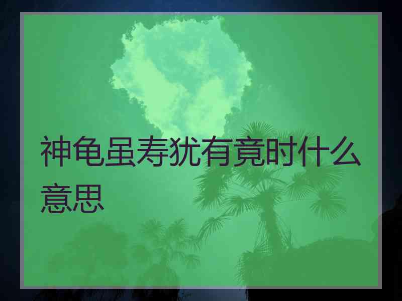 神龟虽寿犹有竟时什么意思