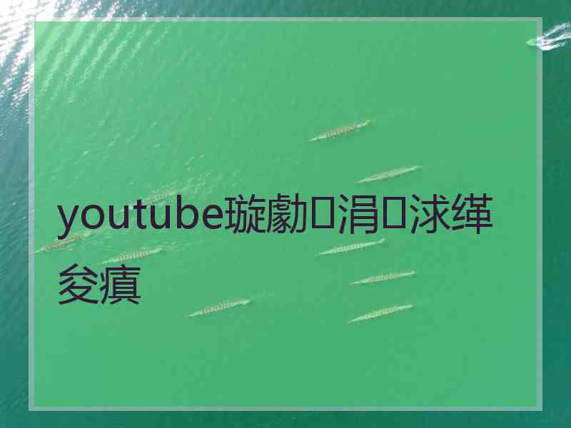 youtube璇勮涓浗缂夋瘨